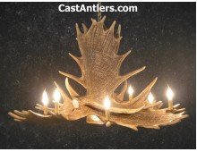 Moose 6 Cast Antler Chandelier w/ Downlight