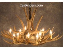 Mule Deer 9 Cast Antler Chandelier 