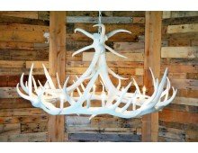 **Pure White** Elk 9 Cast Antler Chandelier