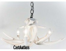 **Pure White** Whitetail 3 Cast Antler Chandelier/Pendant