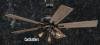 Edison Rustic 52 inch Ceiling Fan w/ Industrial Cage Light