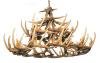 Whitetail 30 Cast Antler Chandelier