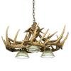 Whitetail 10 Cast Antler Chandelier w/ 3 Downlights