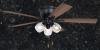 Edison 3-Light 52 inch Ceiling Fan